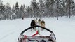 21 February 2016 Husky Drive Lapland Finland #7