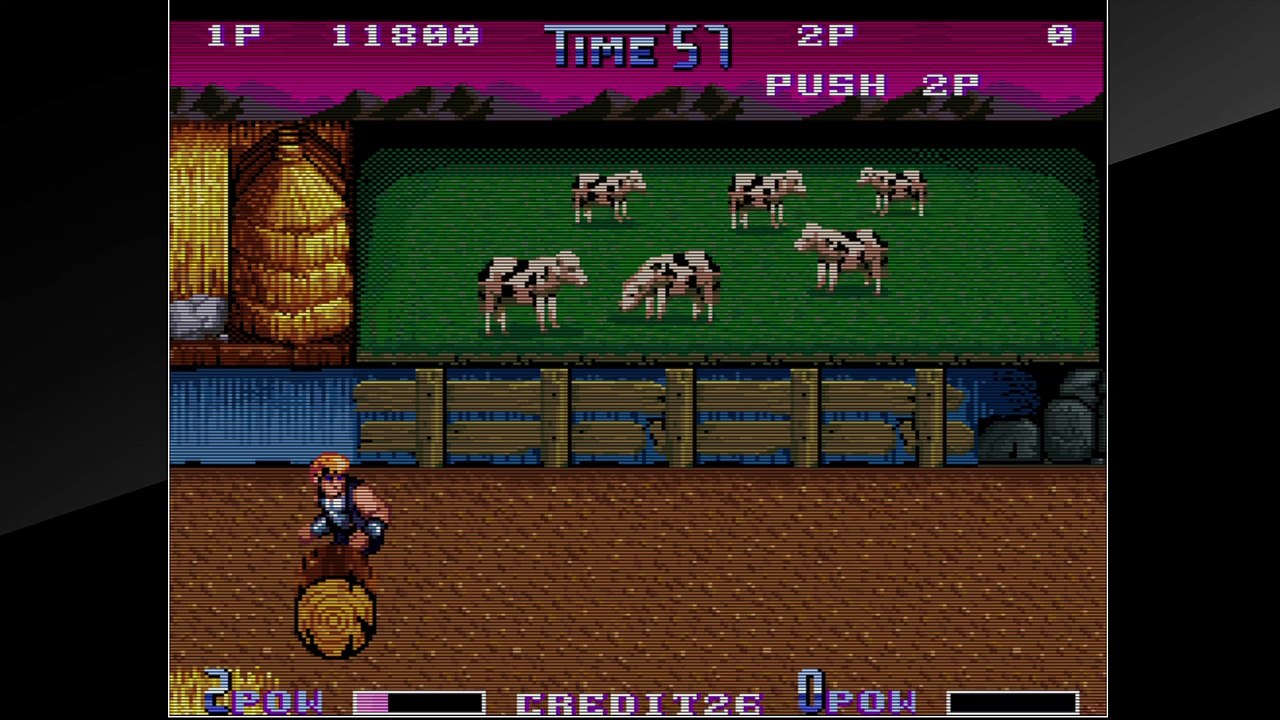 Arcade Archives DOUBLE DRAGON II The Revenge_20160406200749