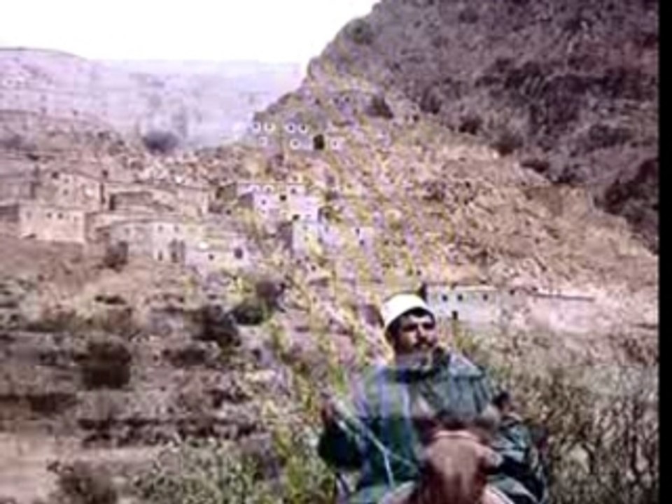 Safran from morocco