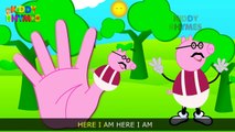 The peppa pig finger family | peppa finger family | Finger Family peppa pig