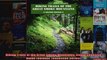 Read  Hiking Trails of the Great Smoky Mountains Comprehensive Guide Outdoor Tennessee Series  Full EBook