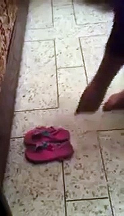 funny sleeping girl in girls hostel - Video Dailymotion 2016 2017 new funny clip