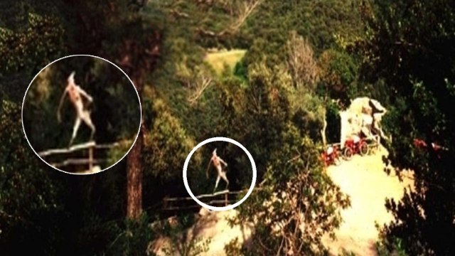 The 10 Strangest, Most Terrifying Creatures Ever Found