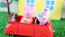 Pig George da Familia Peppa Pig Pega Catapora e Toma Injeção Novelinha ToyToysBrasil em Português