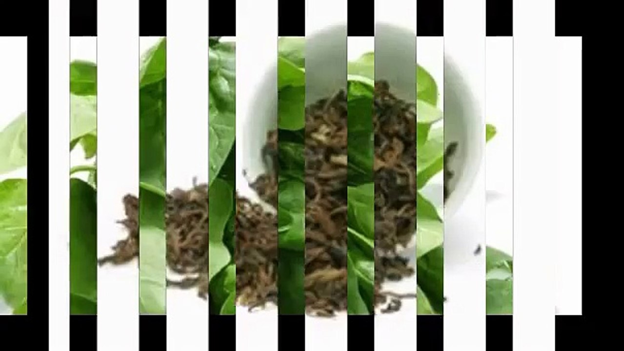 best diet healthy nutrition tips for weight loss and food information