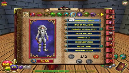 Buy Sell Accounts - Wizard 101 - Account for Sale (LVL 41 )