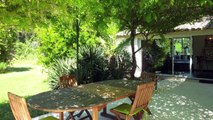 Saint Rémy de Provence - Vente Mas authentique 360 m² - rénovation intérieure contemporaine - Parc - Piscine