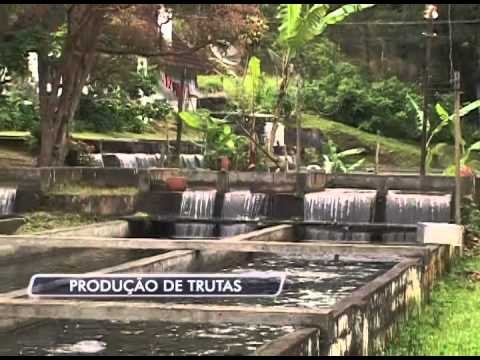 10-07-2014 - PRODUÇÃO DE TRUTAS - ZOOM TV JORNAL