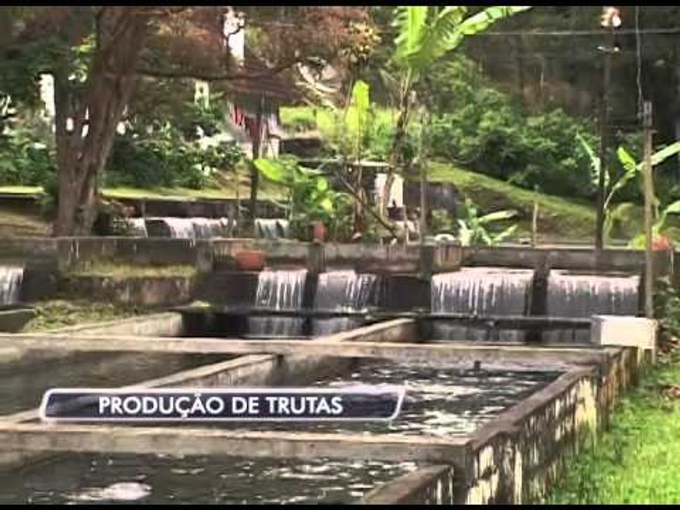 10-07-2014 -  PRODUÇÃO DE TRUTAS - ZOOM TV JORNAL
