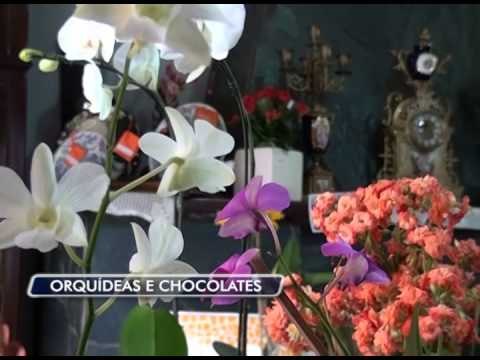 11-07-2014 - ORQUÍDEAS E CHOCOLATES - ZOOM TV JORNAL