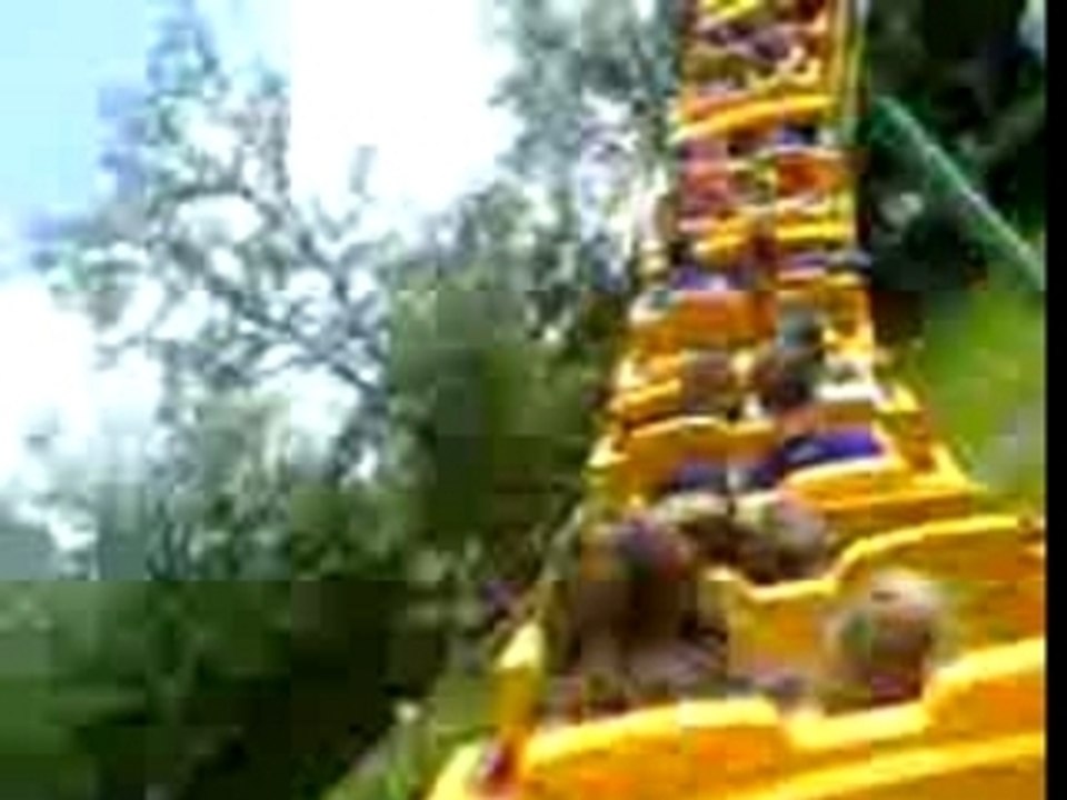 Tigre du Pal