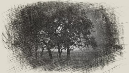 Saveta Sudar - Svi dilberi samo moga nema