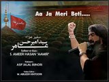 Aaja Meri Beti l Nohakhuwan - Syed Ameer Hasan Aamir 2016 Nohay - Downloaded from youpak.com