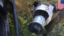 Dog found limping down street muzzled with duct tape