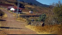 La cieneguilla Guanajuato Escuela.