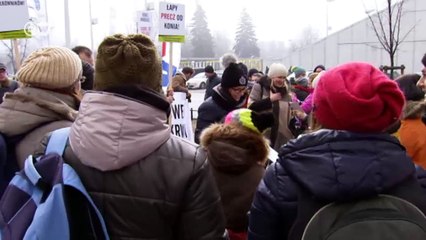 Polen: Zuchtpferde im Ausverkauf | Fokus Europa