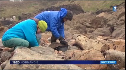 ACRO - Du ruthénium radioactif détecté autour d’AREVA-La Hague - France3 Normandie 06/04/2016