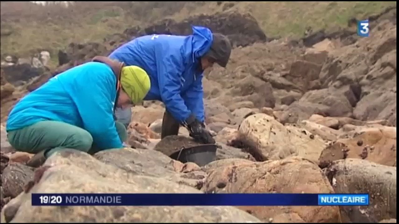 ACRO - Du ruthénium radioactif détecté autour d’AREVA-La Hague - France3 Normandie 06/04/2016