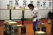 Ray Rice Karate Extreme Speed Board Brick Breaks Martial Arts Open House