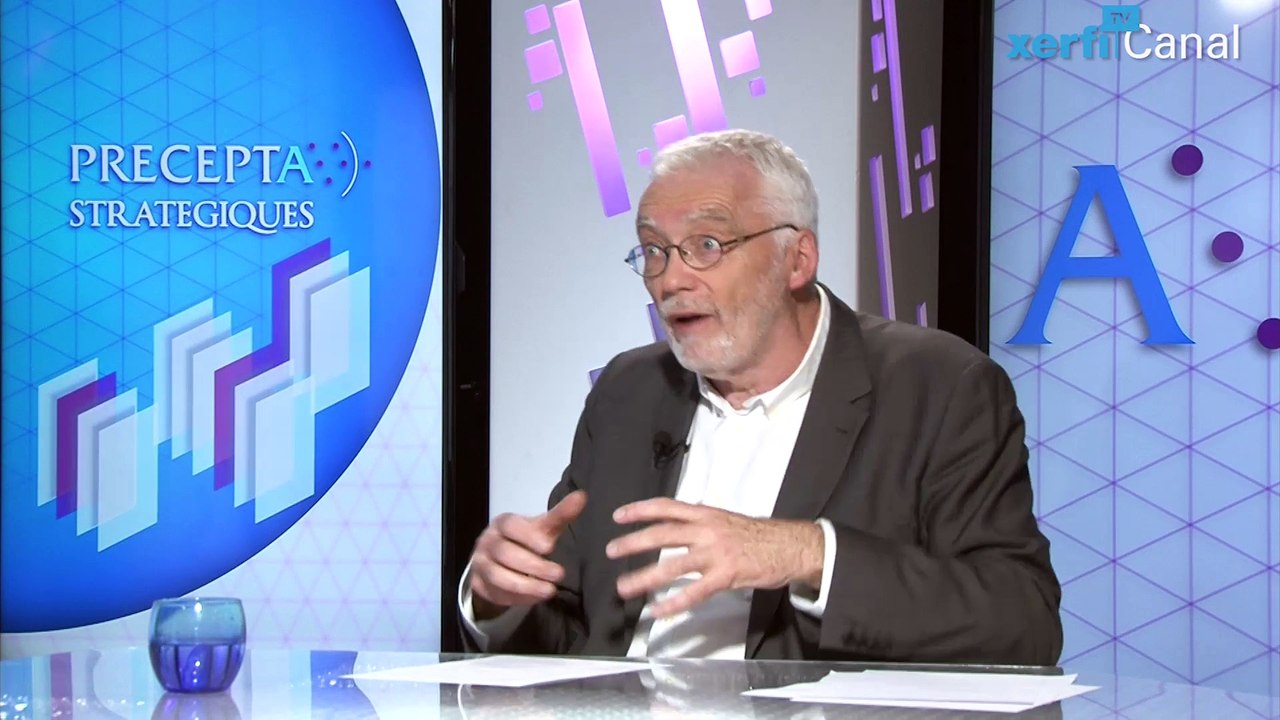 R. Guinchard, Xerfi Canal Le travail, le manager et la fonction paternelle (Le Désir de travail 4/4)