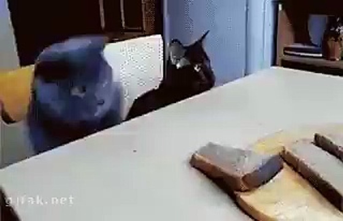 Around World