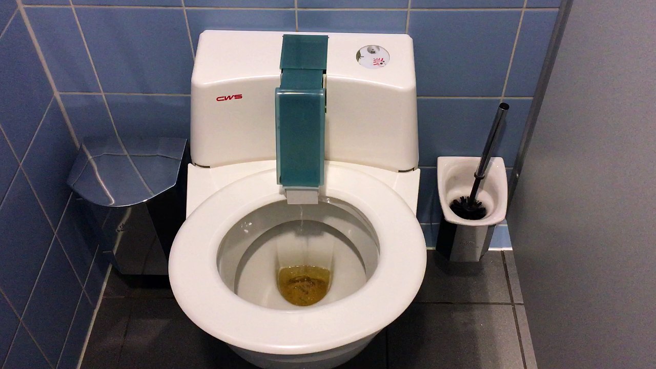 German Toilet