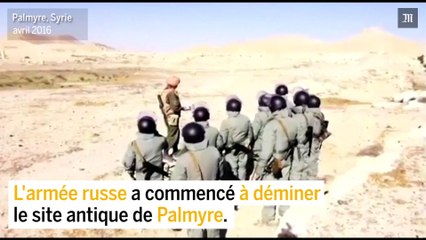Opération de déminage à Palmyre