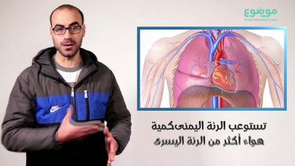 عجائب جسم الإنسان