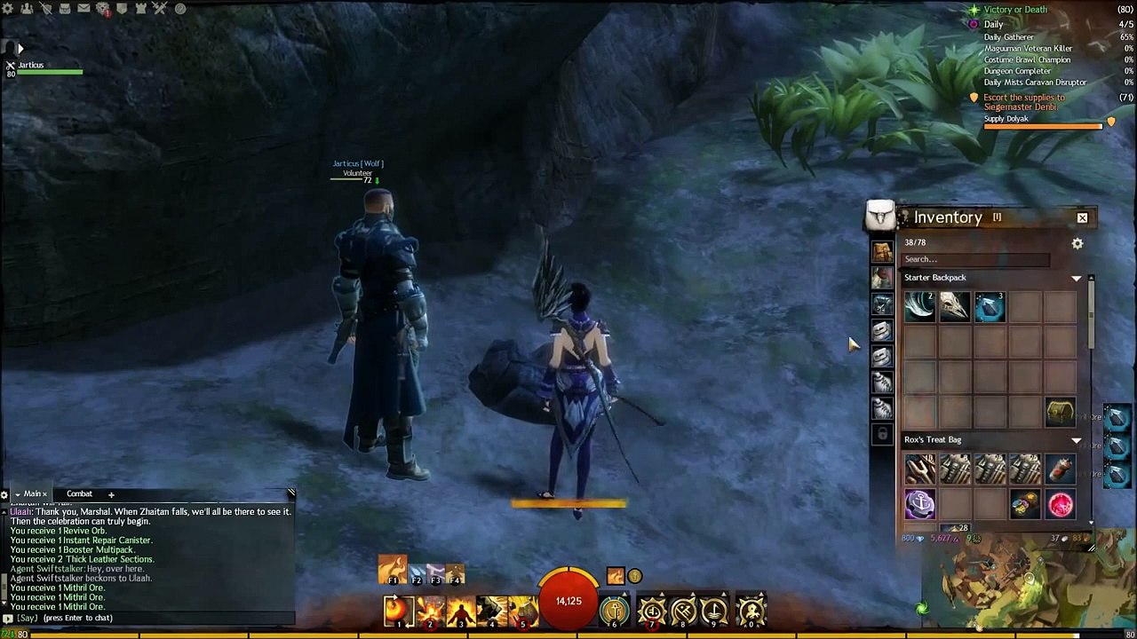 Guild Wars 2 Elementalist and Thief Duo 63