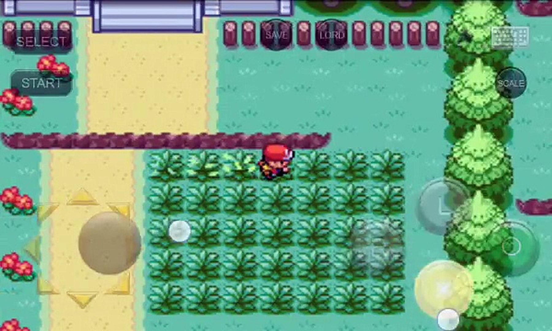 Pokemon Firme Red Bonus Passando Viridian Forest