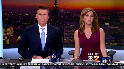 Man Killed In Queens Hit-And-Run