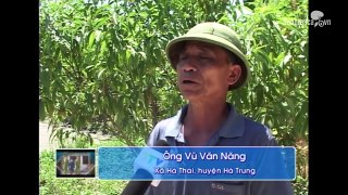 Kinh hoàng giết người dã man ở tuổi 14