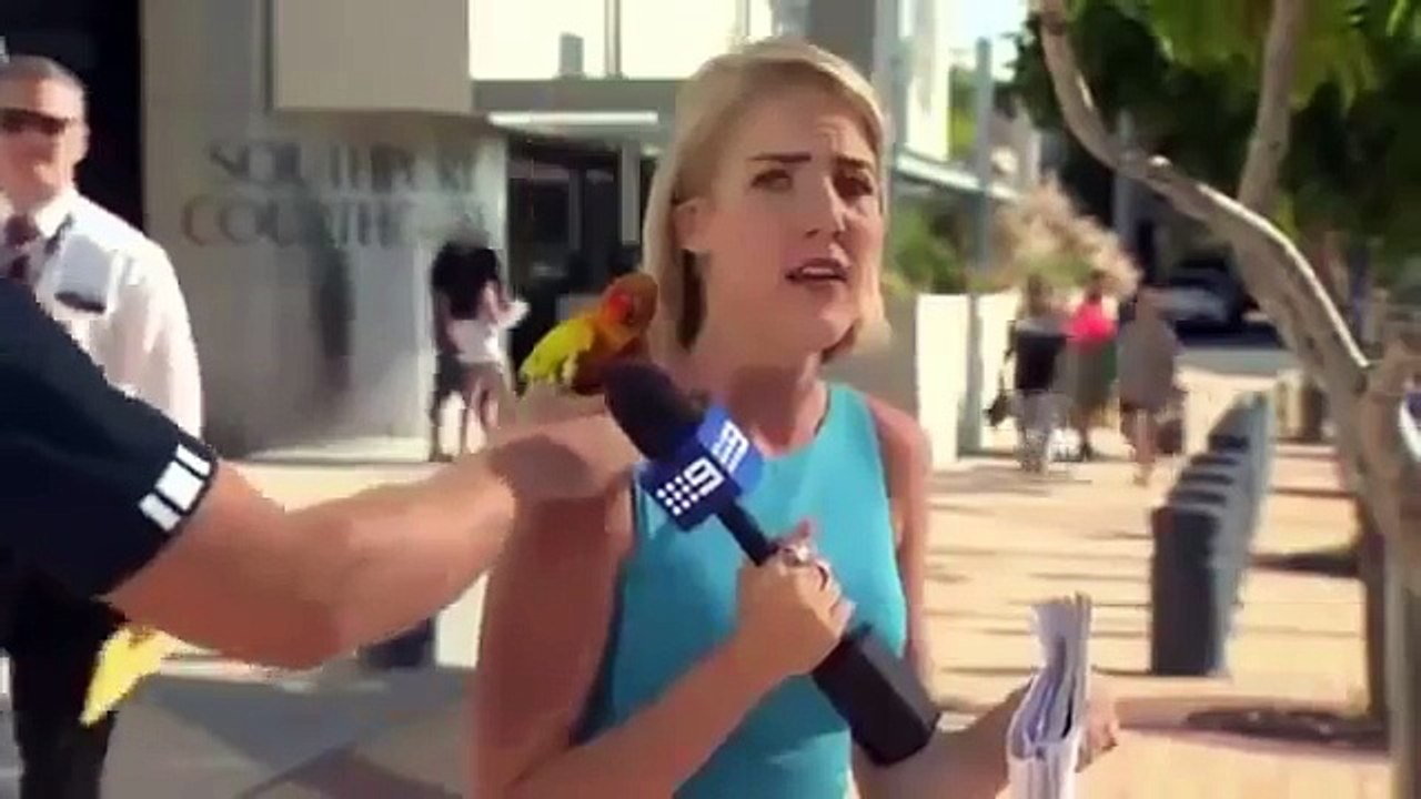 بالفيديو  شاهد موقف محرج لمذيعة حسناء أثناء تقديمها البرنامج على الهواء
