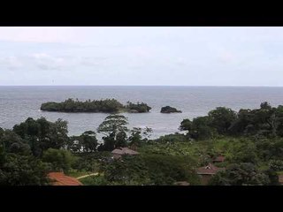 Cerca de Isla Colón, Red Frog
