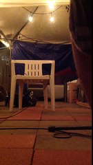 Plastic Jesus (song from Cool hand luke) acoustic cover