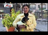 Campagna di Argo contro l'abbandono dei cani. Testimonial Stefania Petyx