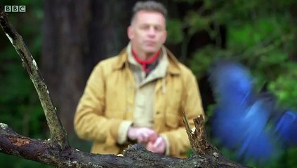 Worlds Sneakiest Animals S01E02