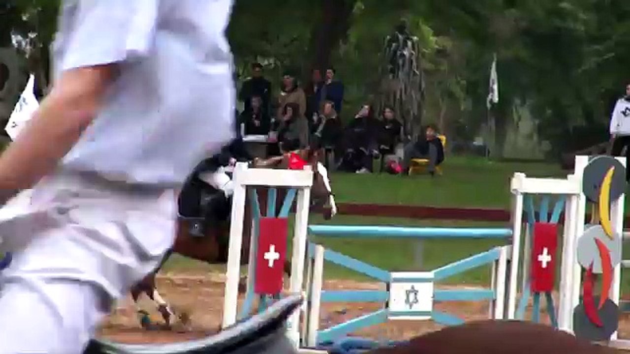 Horse jumping competition - Horse jumping competition,Jumping - Equestrian - Video