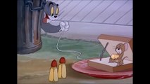 Tom and Jerry - Flirty Birdy (Cartoon Network)