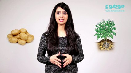 -طرق تخزين البطاطا في الفريزر