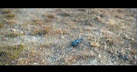 블랙잭사이트か━━━AOA200。COM━━━ば조선카지노주소