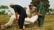 پاکستانیوں نے گندم کاٹنے والی مشین تیار کر لی
