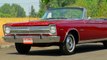 Muscle Car Of The Week Video Episode %23144- 1965 Plymouth Satellite 426 Wedge Convertible