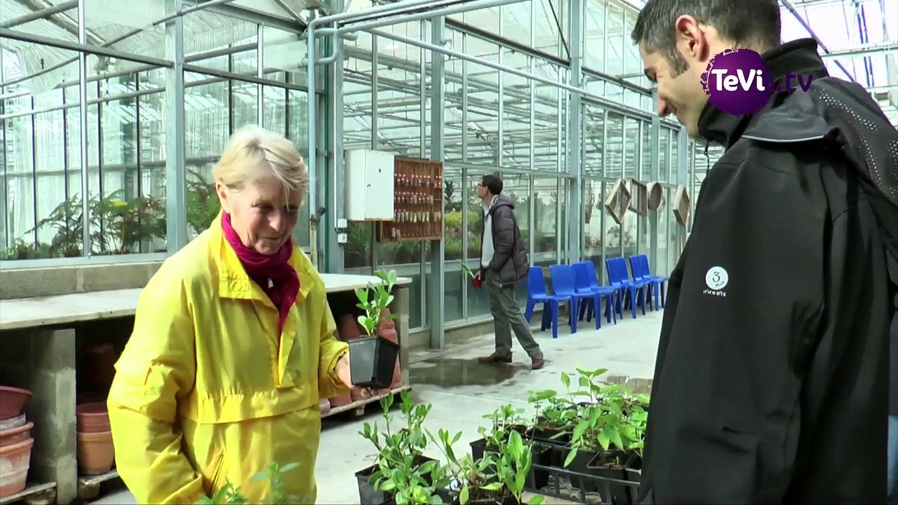 Cherbourg en Cotentin : des plantes aux habitants [TéVi] 16_04_07