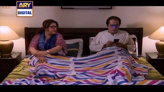 Bulbulay Episode 372 on Ary Digital in High Quality 7th April 2016