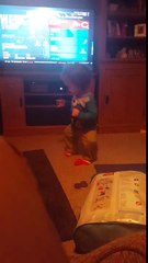 One year old boy shaking it to the Weeknd