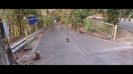 KEKRA - Pas payé (Clip Officiel)