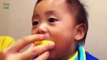 Babies Eating Lemons for the First Time Compilation 2014