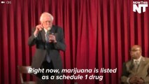 Bernie Sanders Say Federal Weed Laws Are 