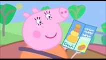 salt and pepper pig (ytp peppa pig)